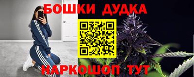 крисы Коммунар
