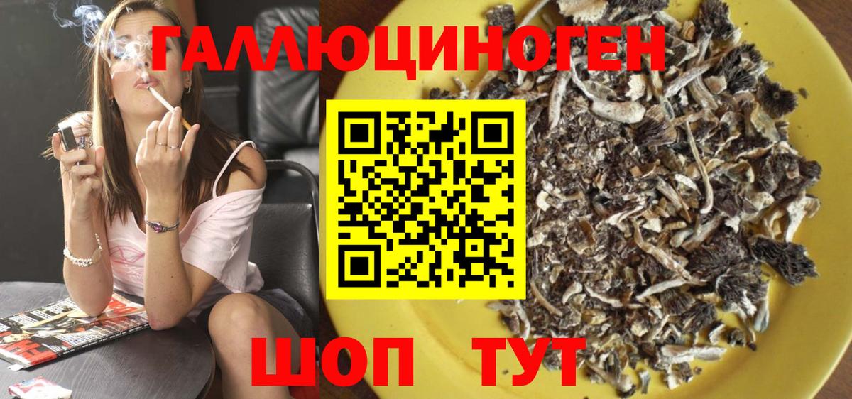 Киров  Галлюциногенные грибы Magic Shrooms  Вход с VPN 
