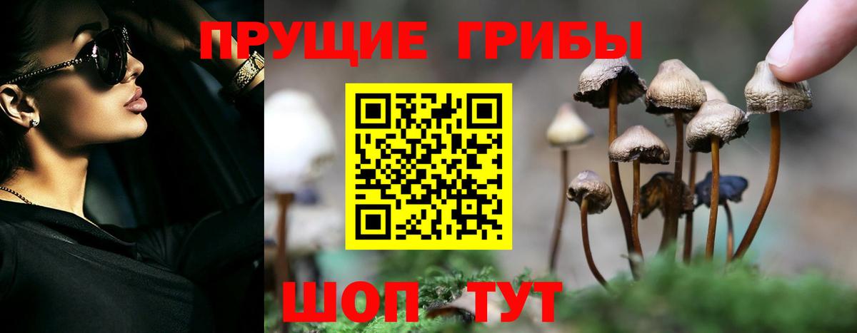 Галлюциногенные грибы Magic Shrooms Киров